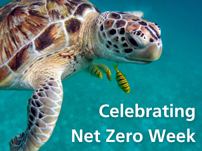 celebrate net zero week with eclipse magnetics