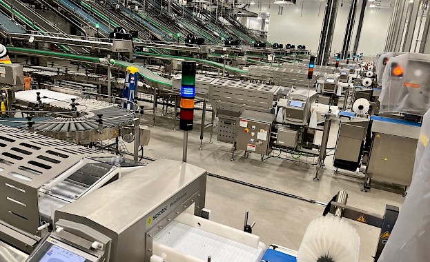 Conveyor processing metal detectors